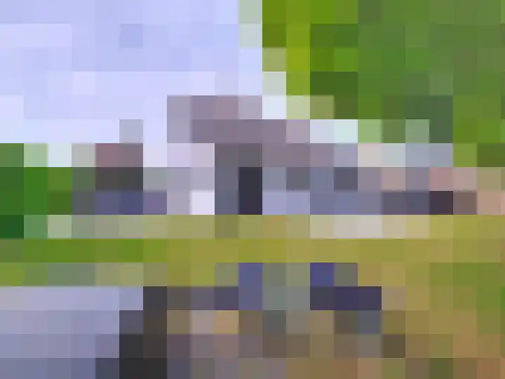 't Schuttebocht 25 Oostburg thumbnail 33