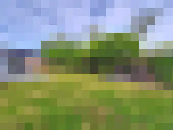't Schuttebocht 25 Oostburg thumbnail 36