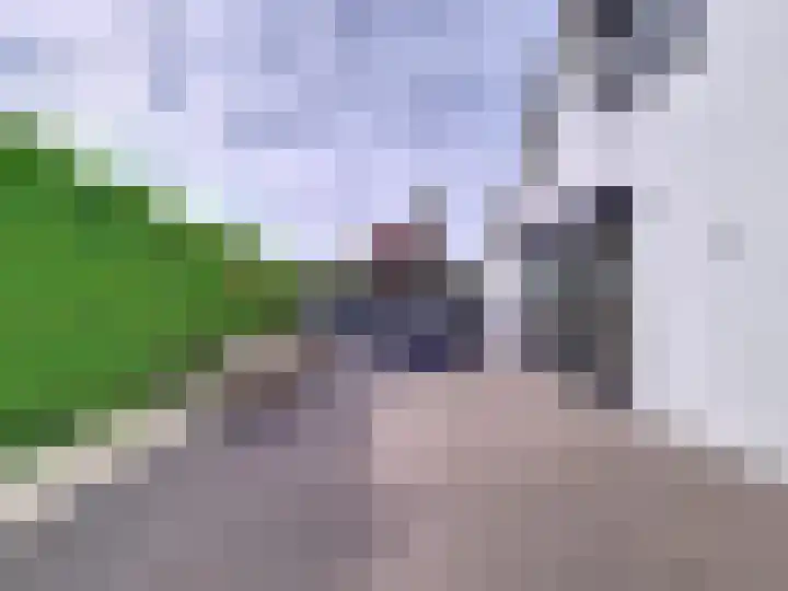 't Schuttebocht 25 Oostburg thumbnail 37