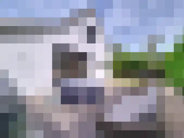 't Schuttebocht 25 Oostburg thumbnail 38