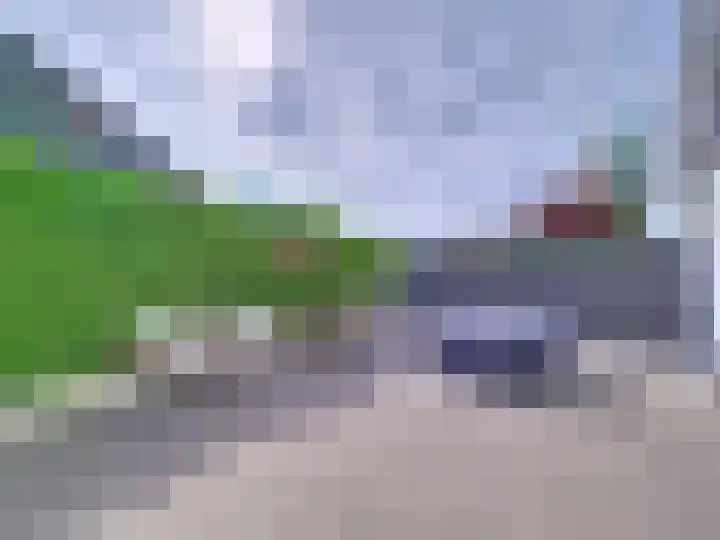 't Schuttebocht 25 Oostburg thumbnail 39