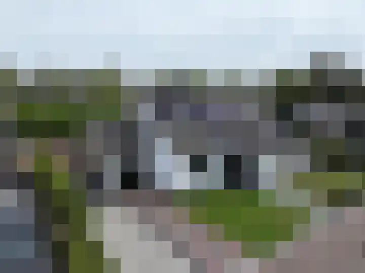 't Schuttebocht 25 Oostburg thumbnail 40
