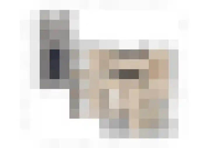 't Schuttebocht 25 Oostburg thumbnail 44