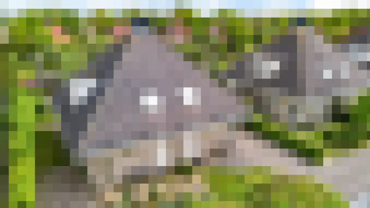 't Set 10 Hemelum thumbnail 10