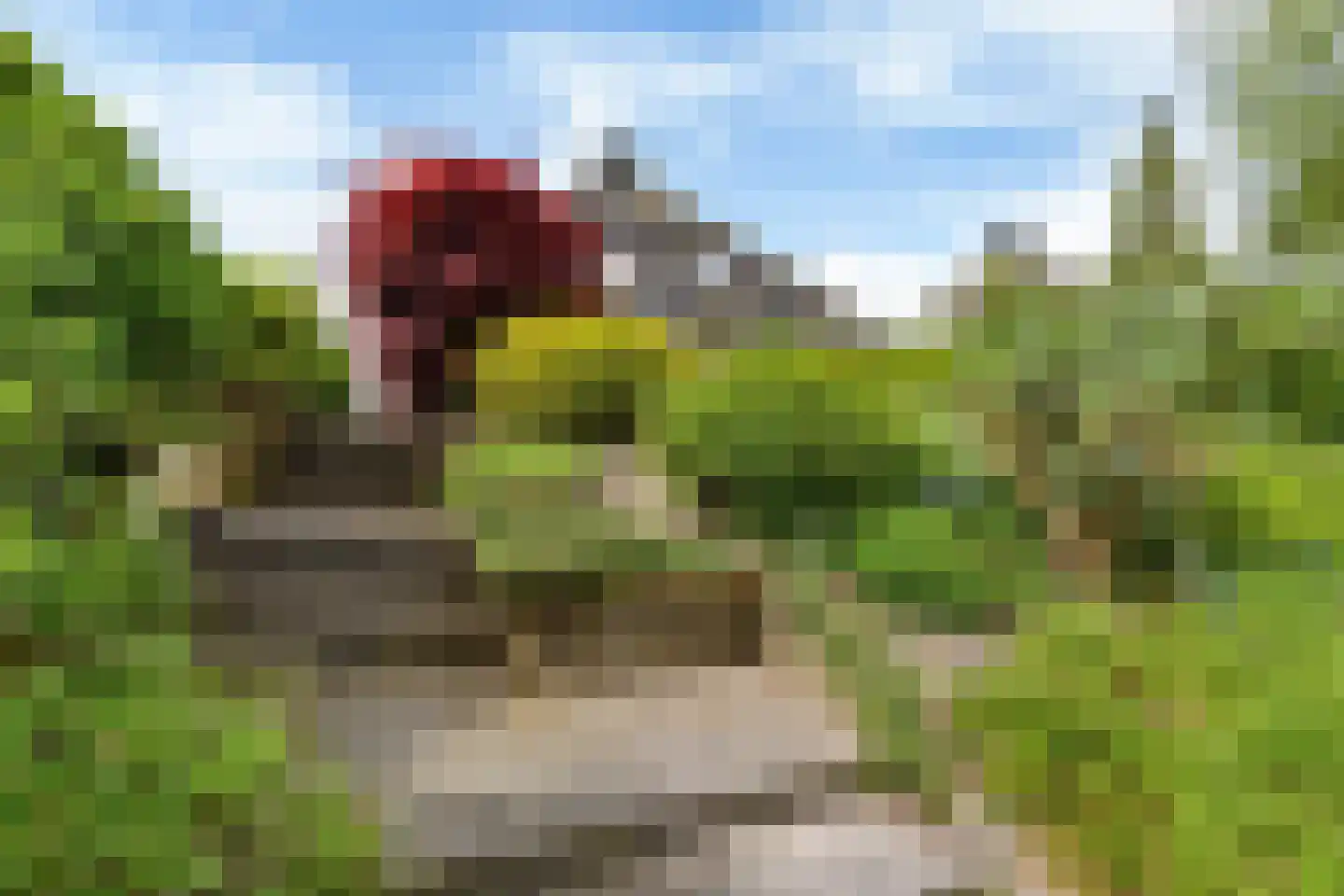 't Set 10 Hemelum thumbnail 34