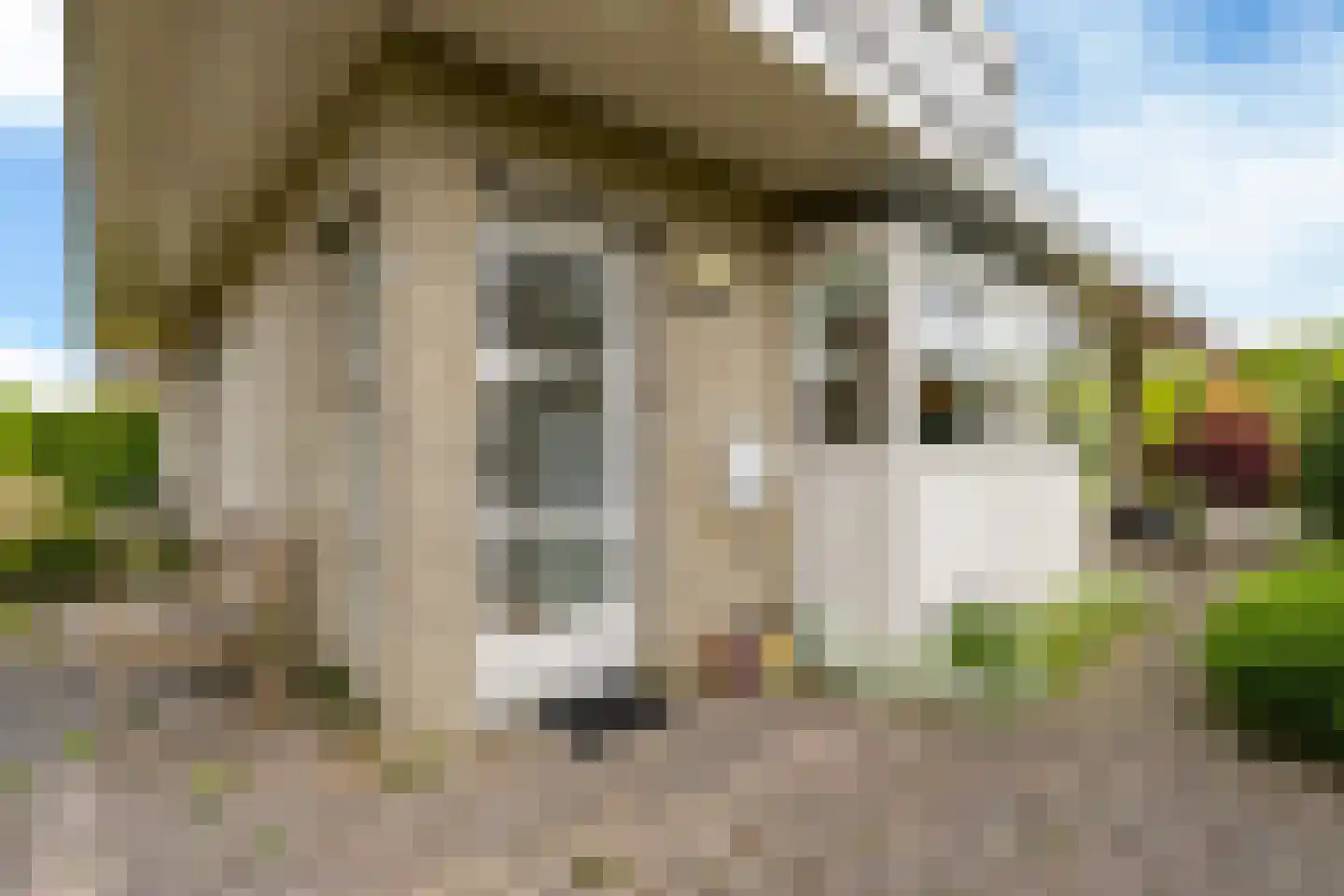 't Set 10 Hemelum thumbnail 7