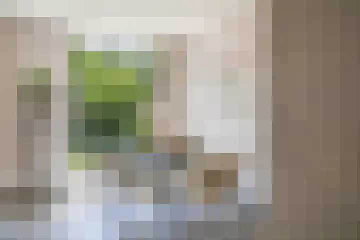 't Seuverick 31 Oisterwijk thumbnail 10