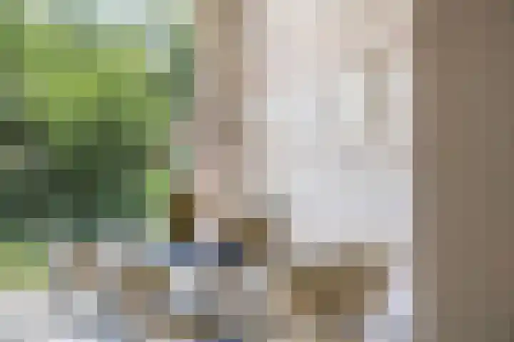 't Seuverick 31 Oisterwijk thumbnail 11