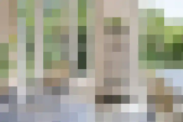 't Seuverick 31 Oisterwijk thumbnail 13