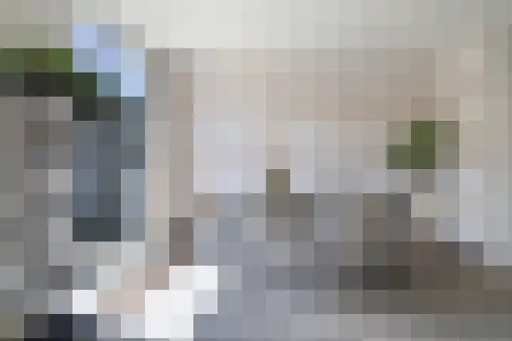 't Seuverick 31 Oisterwijk thumbnail 14