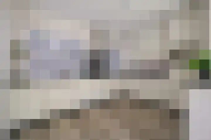 't Seuverick 31 Oisterwijk thumbnail 16