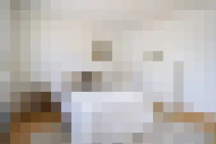 't Seuverick 31 Oisterwijk thumbnail 25