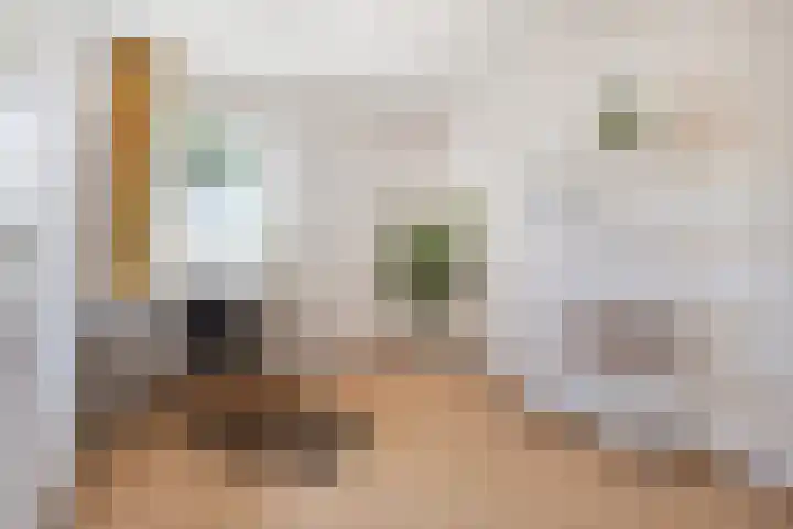 't Seuverick 31 Oisterwijk thumbnail 30