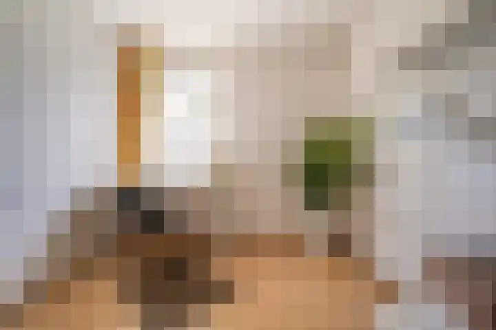 't Seuverick 31 Oisterwijk thumbnail 31
