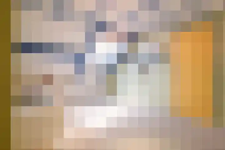 't Seuverick 31 Oisterwijk thumbnail 36