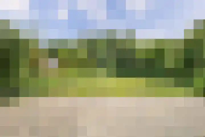 't Seuverick 31 Oisterwijk thumbnail 37