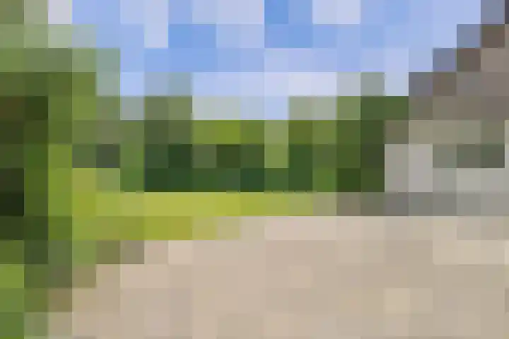 't Seuverick 31 Oisterwijk thumbnail 38
