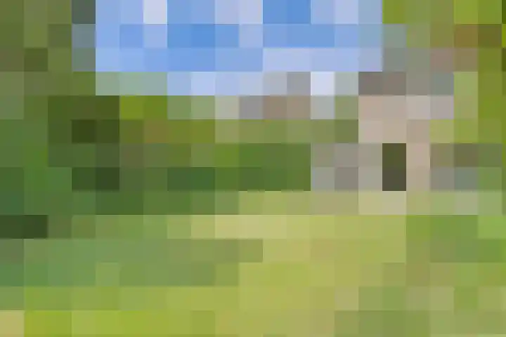 't Seuverick 31 Oisterwijk thumbnail 39