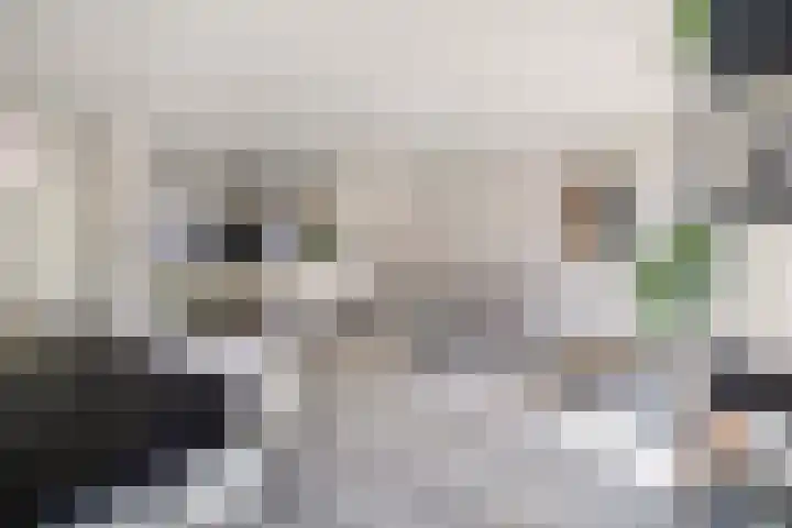 't Seuverick 31 Oisterwijk thumbnail 4