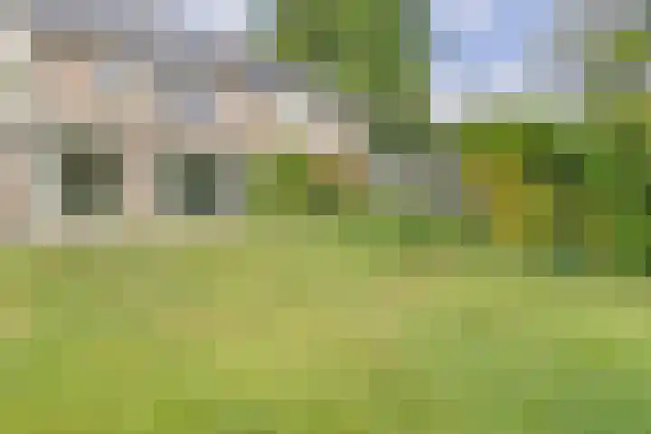 't Seuverick 31 Oisterwijk thumbnail 40