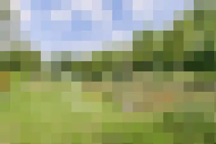 't Seuverick 31 Oisterwijk thumbnail 41