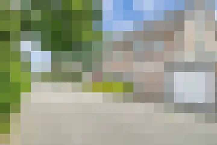 't Seuverick 31 Oisterwijk thumbnail 42