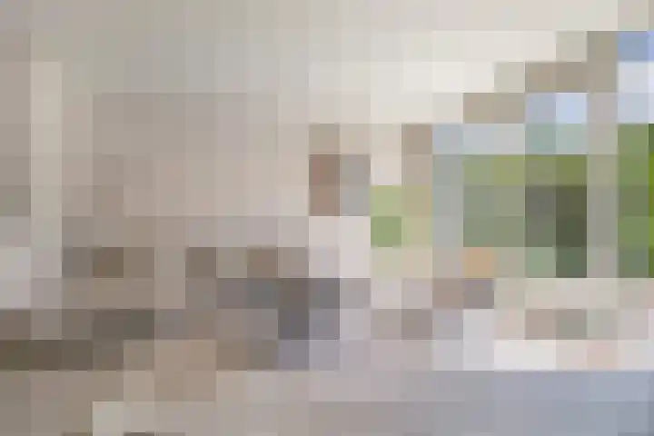 't Seuverick 31 Oisterwijk thumbnail 5