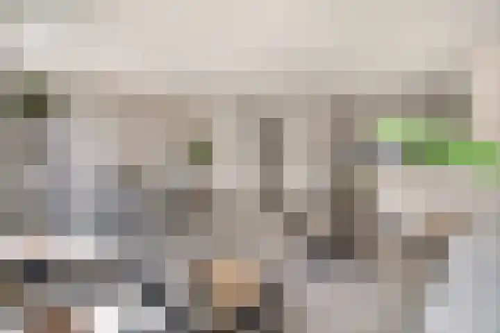 't Seuverick 31 Oisterwijk thumbnail 6