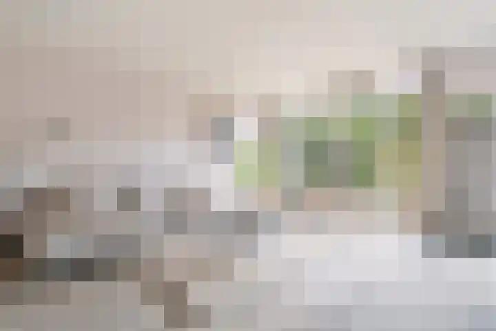't Seuverick 31 Oisterwijk thumbnail 7