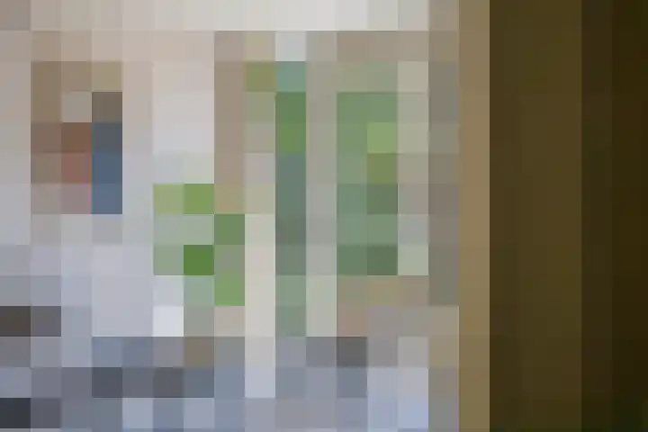 't Seuverick 31 Oisterwijk thumbnail 8