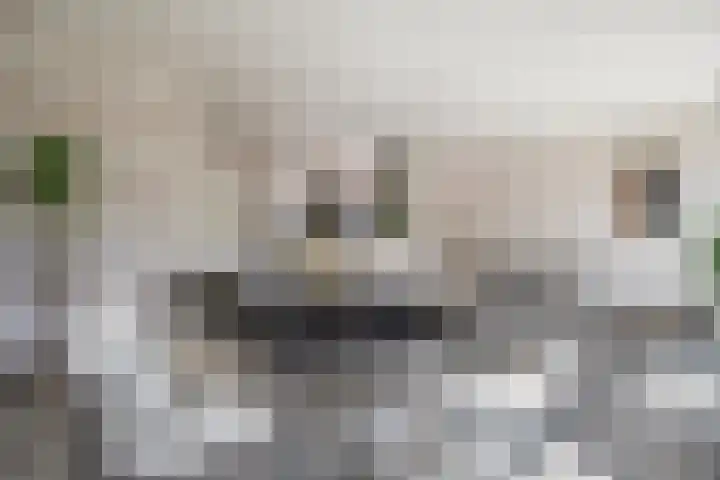 't Seuverick 31 Oisterwijk thumbnail 9