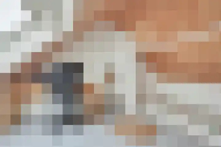 't Seuverick 35 Oisterwijk thumbnail 34