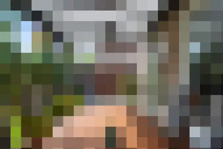 't Seuverick 35 Oisterwijk thumbnail 41