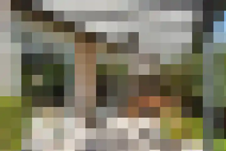 't Seuverick 35 Oisterwijk thumbnail 42