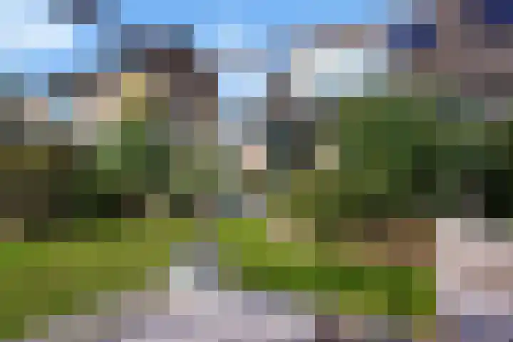 't Seuverick 35 Oisterwijk thumbnail 43