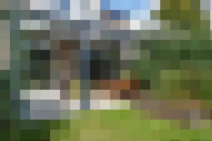 't Seuverick 35 Oisterwijk thumbnail 45