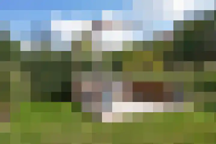 't Seuverick 35 Oisterwijk thumbnail 46