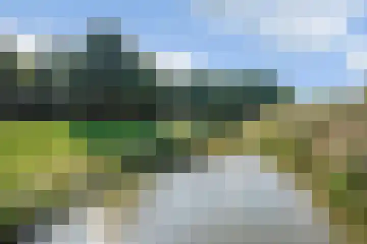 't Seuverick 35 Oisterwijk thumbnail 50