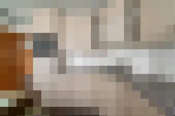 't Seuverick 37 Oisterwijk thumbnail 10