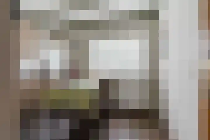 't Seuverick 37 Oisterwijk thumbnail 11