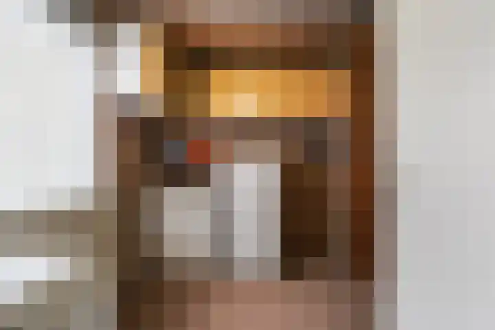 't Seuverick 37 Oisterwijk thumbnail 13