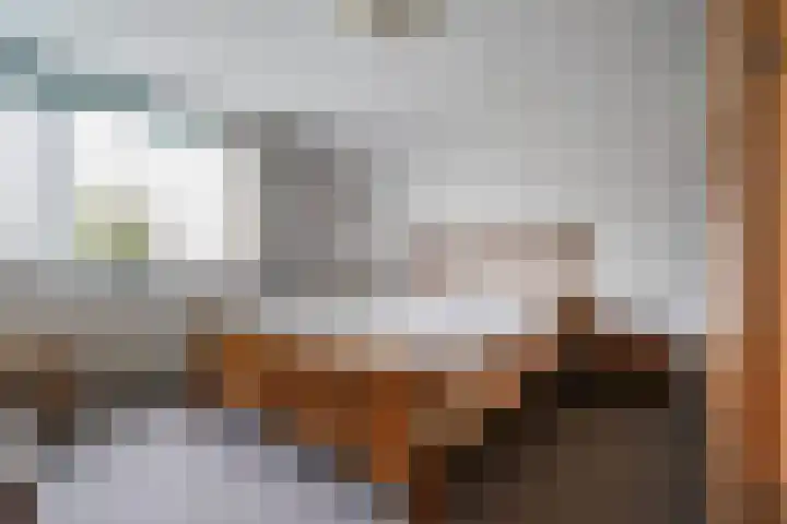 't Seuverick 37 Oisterwijk thumbnail 17