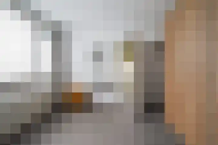 't Seuverick 37 Oisterwijk thumbnail 20