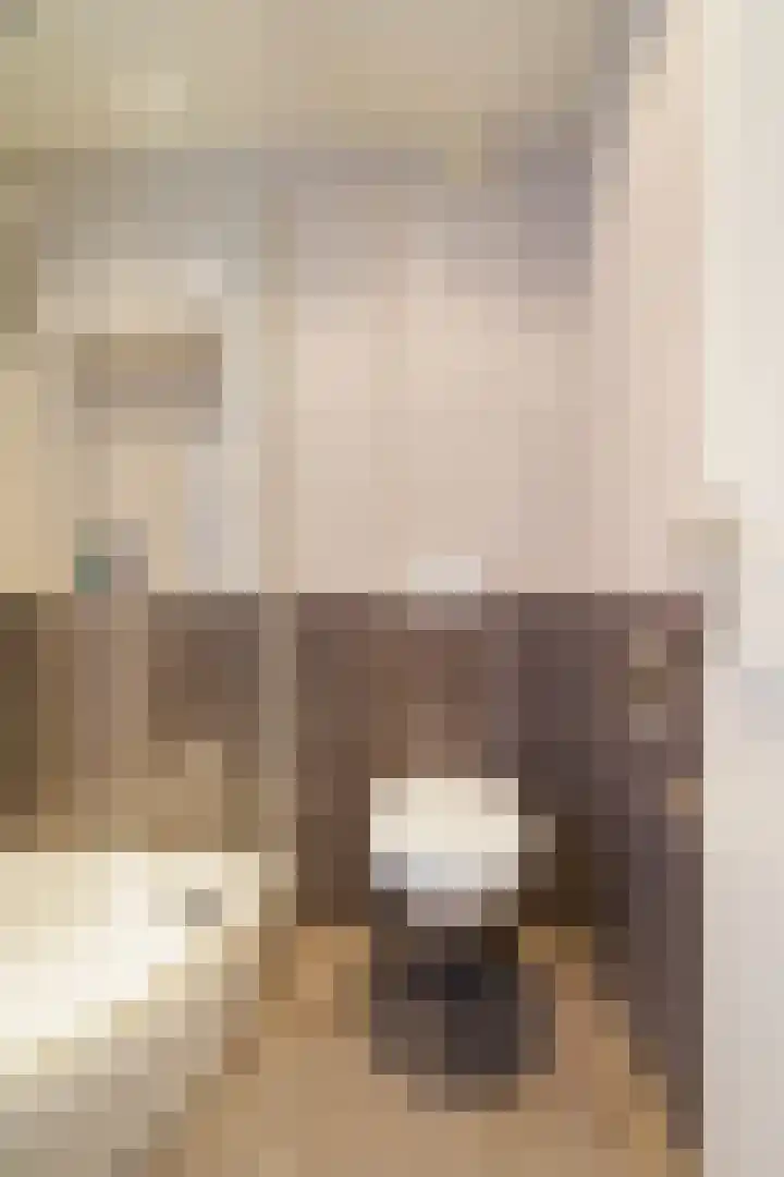 't Seuverick 37 Oisterwijk thumbnail 23