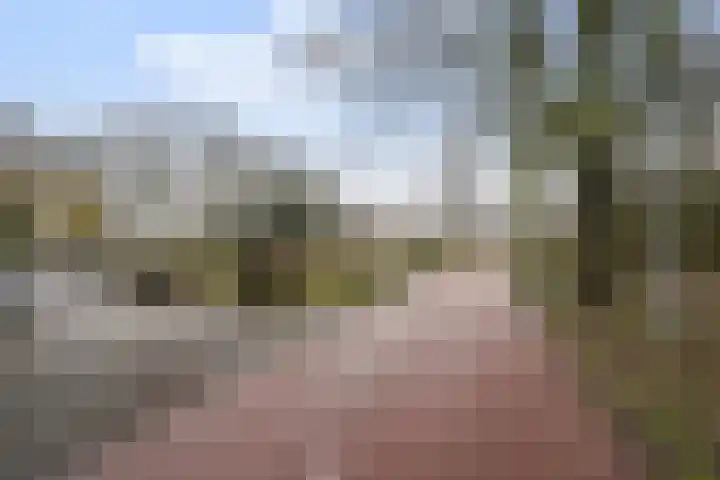 't Seuverick 37 Oisterwijk thumbnail 33