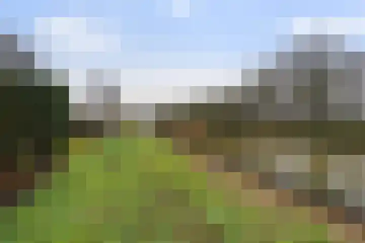 't Seuverick 37 Oisterwijk thumbnail 4