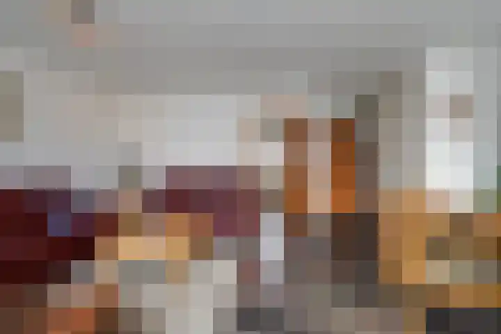 't Seuverick 37 Oisterwijk thumbnail 8