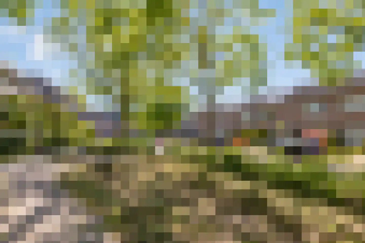 't Seuverick 65 Oisterwijk thumbnail 27