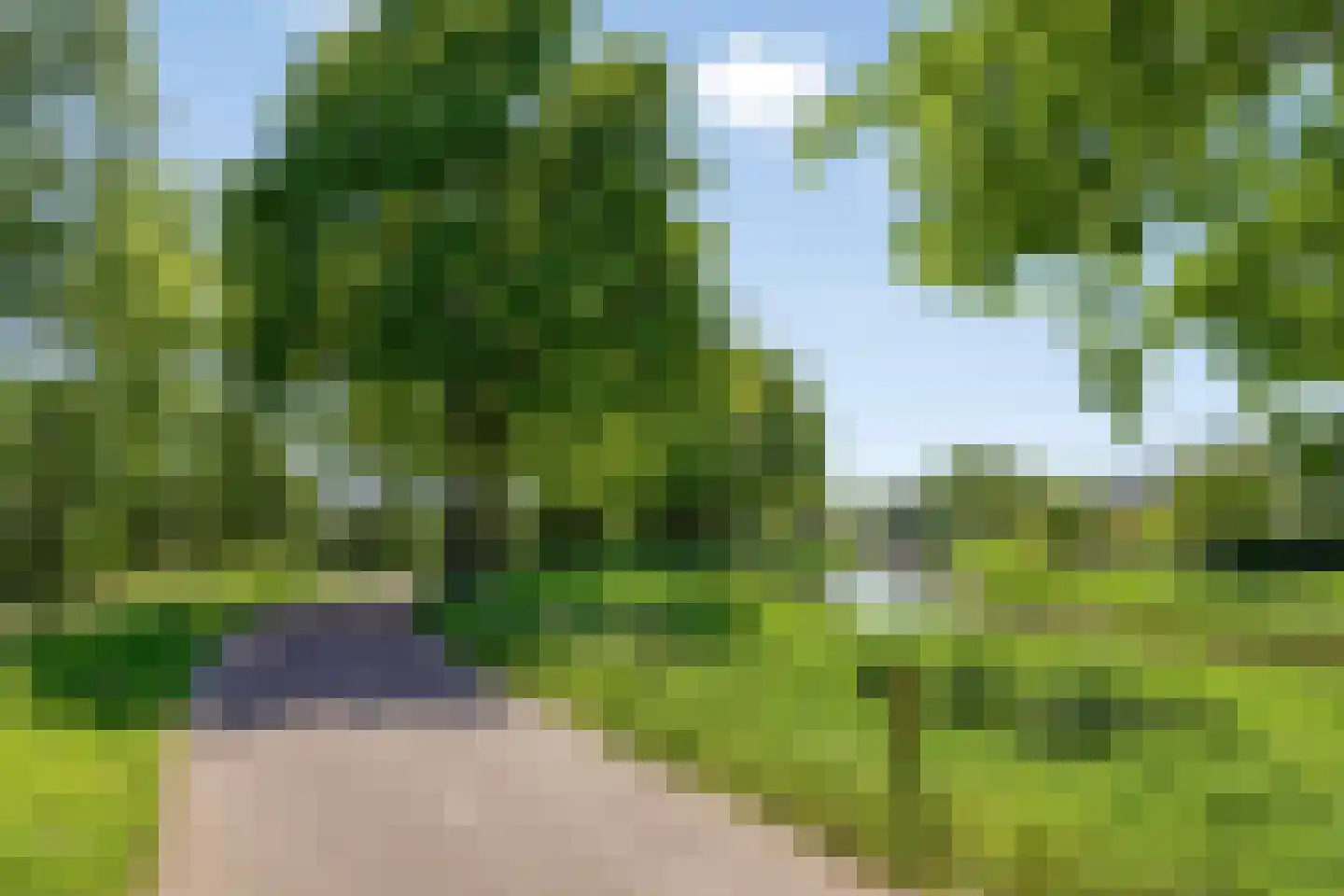 't Seuverick 65 Oisterwijk thumbnail 31