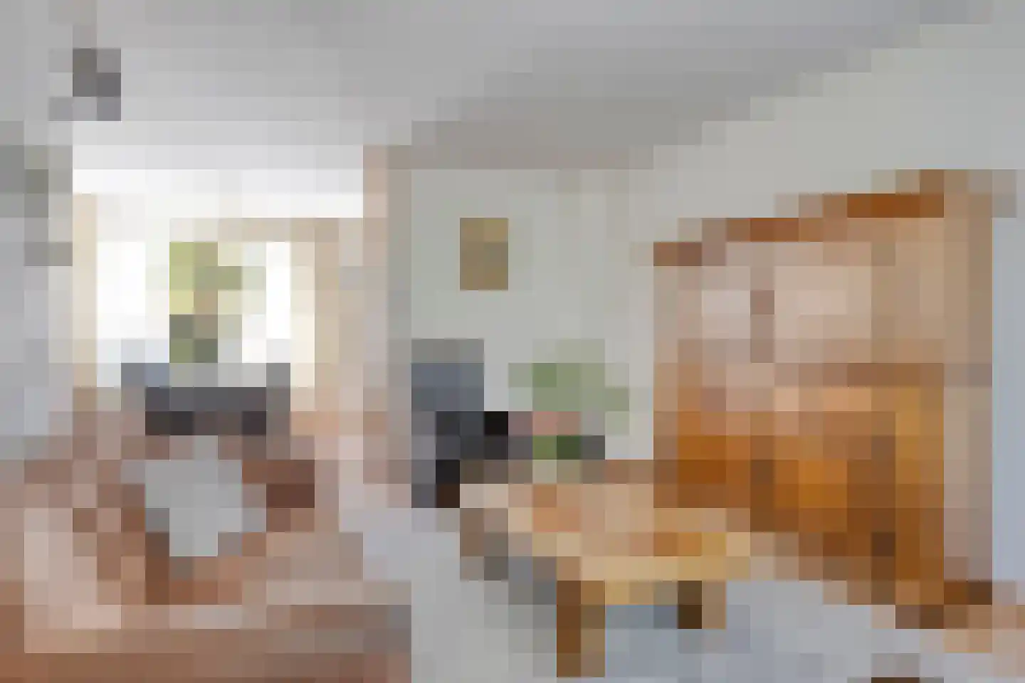 't Seuverick 65 Oisterwijk thumbnail 4